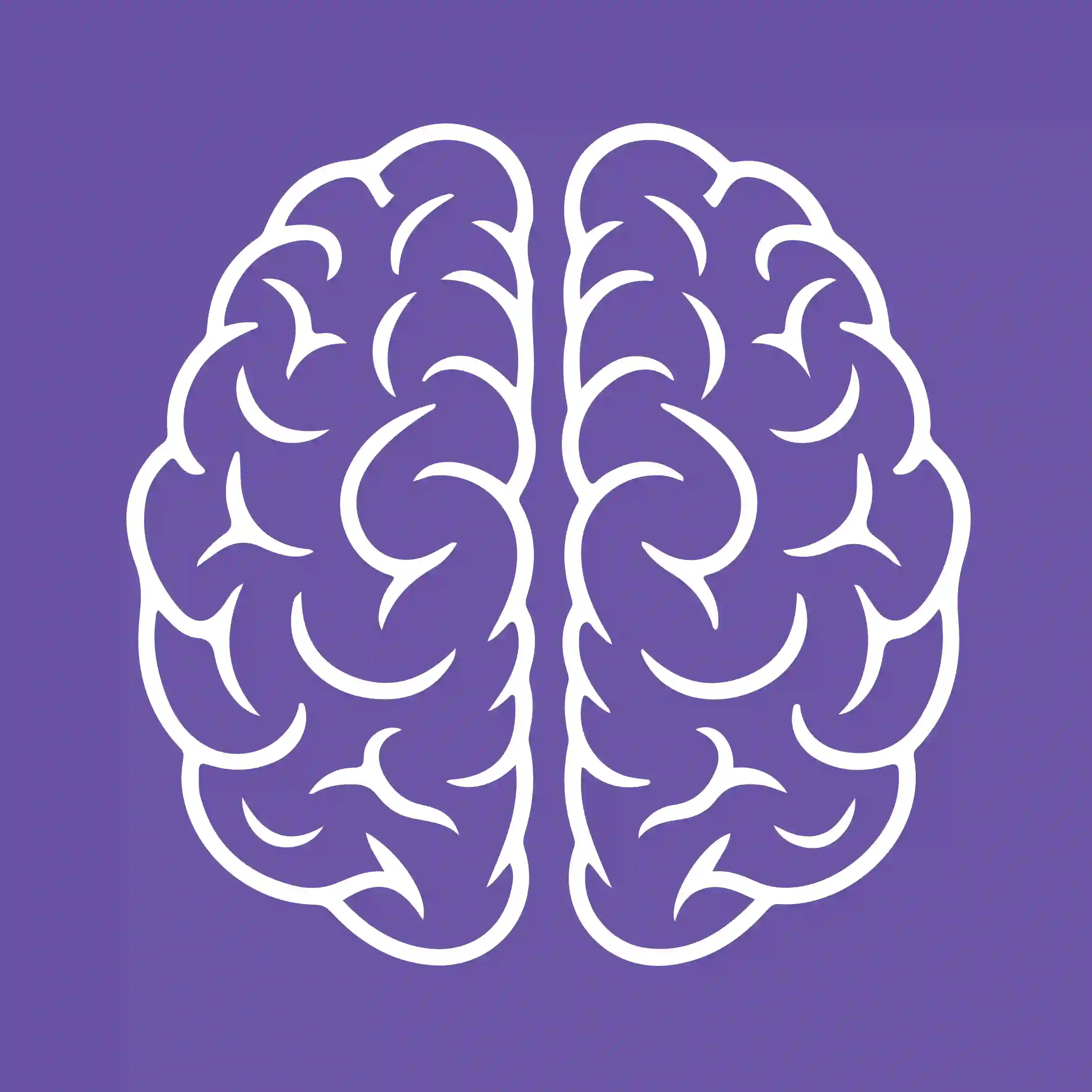 Neurodydaktyka